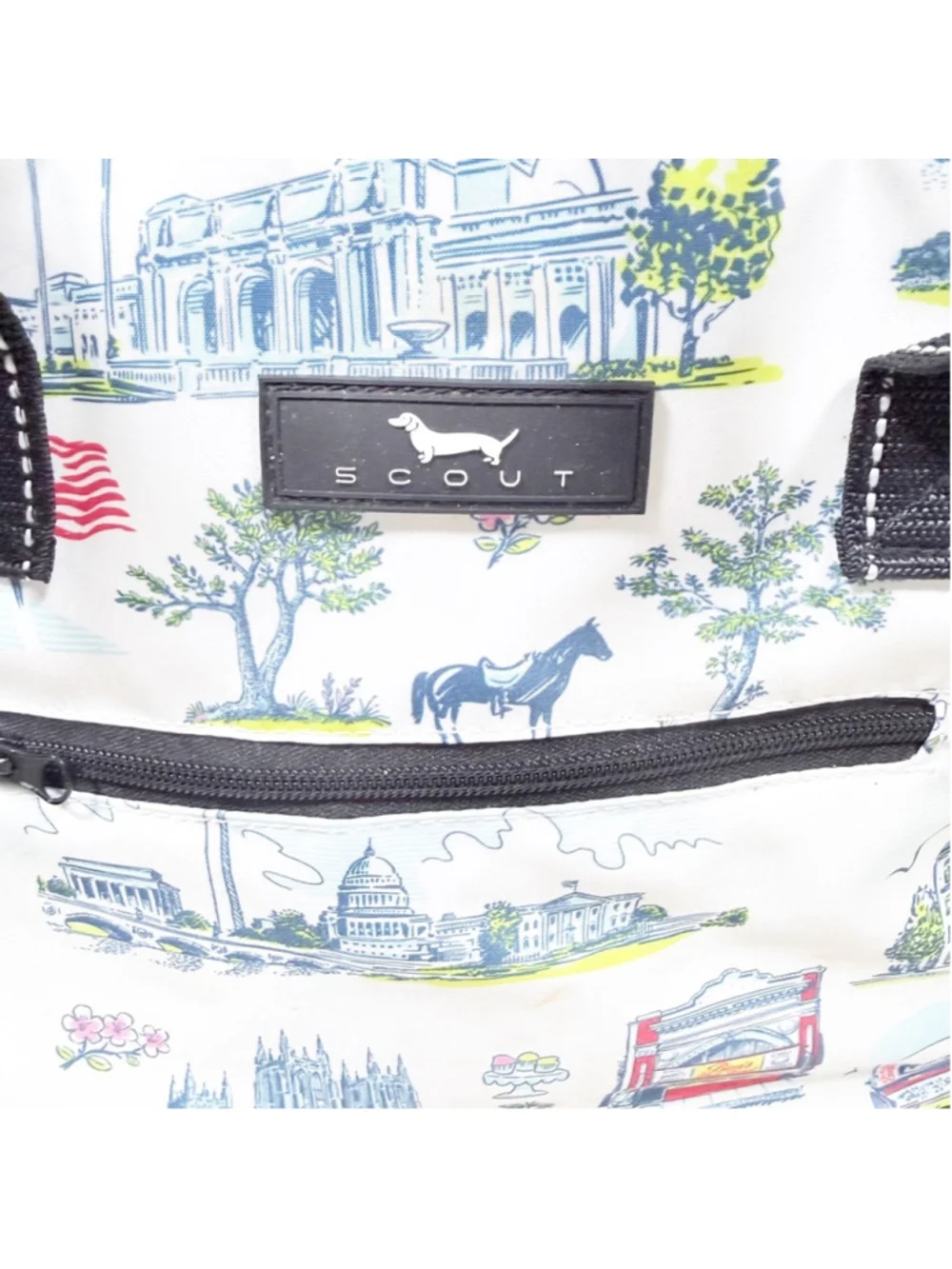 SCOUT The Stiff One Large Soft Cooler Washington DC Pattern Insulated Picnic Bag